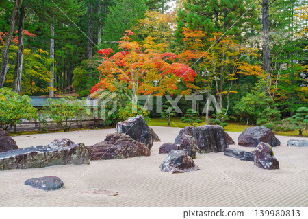 Mount Koya: Autumn at Kongobu-ji Temple's Banryu Garden Mount Koya: Autumn at Kongobu-ji Temple's Banryu Garden 139980813