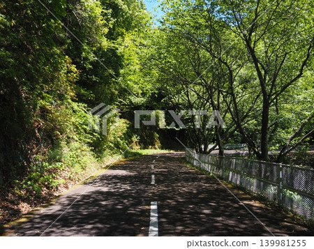 初夏的山 初夏的山 139981255