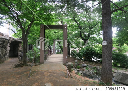 通往莊武沼公園瀑布的步道 通往莊武沼公園瀑布的步道 139981529