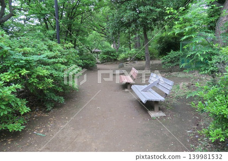 長椅所在的景色是莊武沼公園鬱鬱蔥蔥的綠地。 139981532
