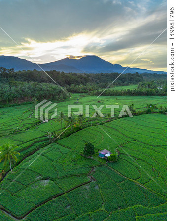 The natural beauty of the Indonesian mountains with beautiful tropical forests at sunrise 139981796