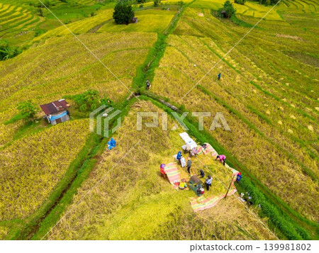 The natural beauty of the Indonesian mountains with beautiful tropical forests at sunrise 139981802