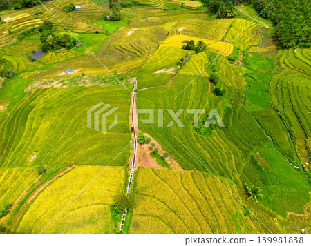 The natural beauty of the Indonesian mountains with beautiful tropical forests at sunrise The natural beauty of the Indonesian mountains with beautiful tropical forests at sunrise 139981838