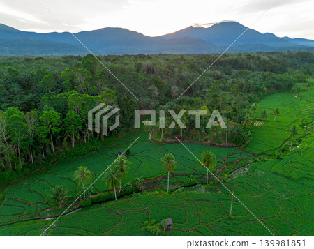 The natural beauty of the Indonesian mountains with beautiful tropical forests at sunrise The natural beauty of the Indonesian mountains with beautiful tropical forests at sunrise 139981851