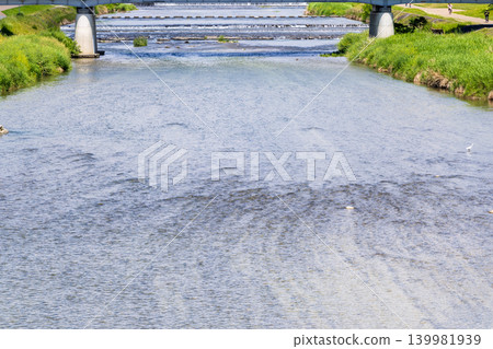 京都鴨川風景 京都鴨川風景 139981939
