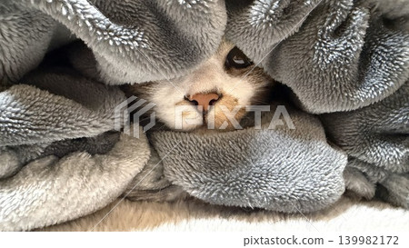 [Rescued Cat] A mackerel tabby cat relaxing on a cushion 139982172