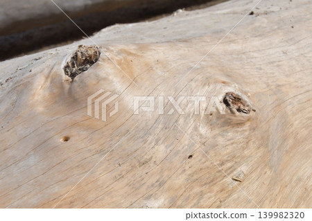Onbashira Festival - Mountain Descent - Treasure Ground Onbashira Festival - Mountain Descent - Treasure Ground 139982320