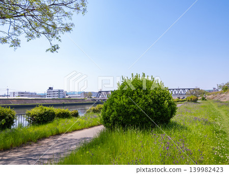 A riverside promenade and lush greenery at the end of spring. A riverside promenade and lush greenery at the end of spring. 139982423
