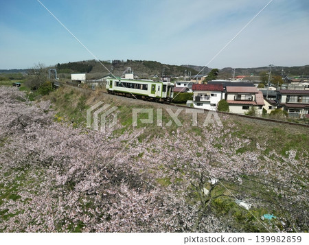 Aerial view of JR Yanagizu Station with cherry blossoms in full bloom. Aerial view of JR Yanagizu Station with cherry blossoms in full bloom. 139982859