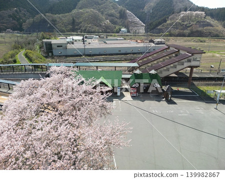 Aerial view of JR Yanagizu Station with cherry blossoms in full bloom. Aerial view of JR Yanagizu Station with cherry blossoms in full bloom. 139982867