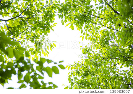 Fresh green Fresh green 139983007