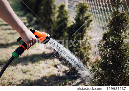 Hand uses hose nozzle to spray water on small evergreen bushes in sunny backyard. Smart irrigation system, water conservation habits, efficient garden watering, responsible water usage. Hand uses hose nozzle to spray water on small evergreen bushes in sunny backyard. Smart irrigation system, water conservation habits, efficient garden watering, responsible water usage. 139983287