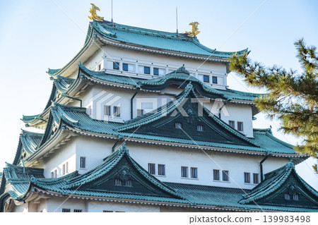 Aichi / Nagoya Castle Aichi / Nagoya Castle 139983498