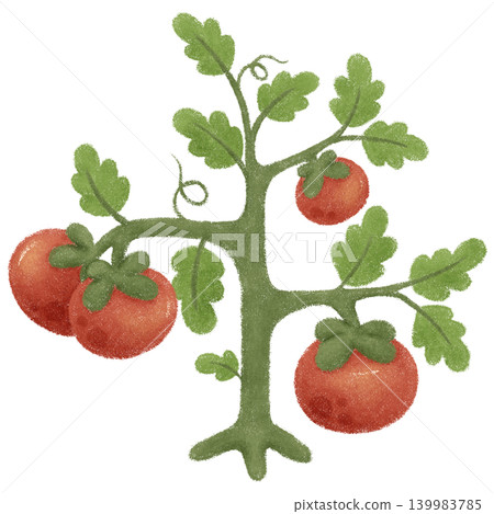Little bunny and tomato Little bunny and tomato 139983785