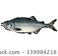 新鮮鮭魚 139984218