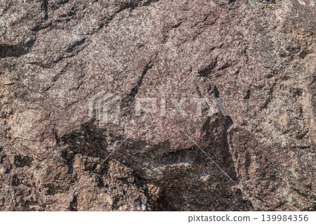 Moss attached to rocks 139984356
