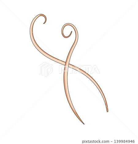 Parasitic roundworm vector crossing on white background Parasitic roundworm vector crossing on white background 139984946