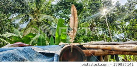 Dry feathers on bamboo with a green garden background 139985141