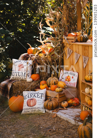 Autumn Farm Market Display with Pumpkins, Corn Stalks and Cozy Pillows Autumn Farm Market Display with Pumpkins, Corn Stalks and Cozy Pillows 139985203
