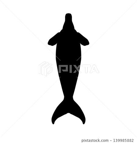 Manatee Silhouette Manatee Silhouette 139985882