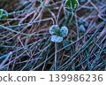 A frosty morning on the Utsukushigahara Plateau 139986236