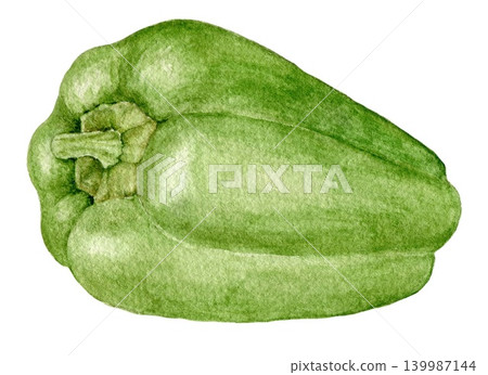 Green bell pepper watercolor vegetable illustration for recipe cards, menu designs, food packaging, harvest themes and seasonal kitchen projects. Green bell pepper watercolor vegetable illustration for recipe cards, menu designs, food packaging, harvest themes and seasonal kitchen projects. 139987144