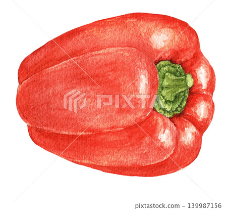 Red bell pepper watercolor vegetable illustration for recipe cards, menu designs, food packaging, harvest themes and seasonal kitchen projects. Hand painted art product Red bell pepper watercolor vegetable illustration for recipe cards, menu designs, food packaging, harvest themes and seasonal kitchen projects. Hand painted art product 139987156