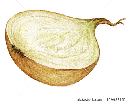 Onion half watercolor vegetable illustration for recipe cards, menu designs, food packaging, harvest themes and seasonal kitchen projects. hand painted art Onion half watercolor vegetable illustration for recipe cards, menu designs, food packaging, harvest themes and seasonal kitchen projects. hand painted art 139987161