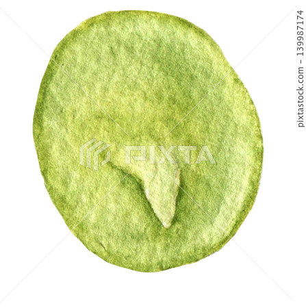 Green pea watercolor vegetable illustration for recipe cards, menu designs, food packaging, harvest themes and seasonal kitchen projects. Green pea watercolor vegetable illustration for recipe cards, menu designs, food packaging, harvest themes and seasonal kitchen projects. 139987174