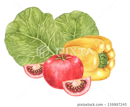 Cabbage leaves, yellow pepper, tomato and tomato slices watercolor composition for recipe cards, kitchen decoration, food packaging, Thanksgiving menus, harvest festivals and autumn dinner projects. Cabbage leaves, yellow pepper, tomato and tomato slices watercolor composition for recipe cards, kitchen decoration, food packaging, Thanksgiving menus, harvest festivals and autumn dinner projects. 139987245