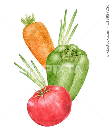 Carrot, green pepper, tomato and herbs watercolor composition for recipe cards, kitchen decoration, food packaging, Easter brunches, harvest festivals and seasonal cooking projects. Carrot, green pepper, tomato and herbs watercolor composition for recipe cards, kitchen decoration, food packaging, Easter brunches, harvest festivals and seasonal cooking projects. 139987256