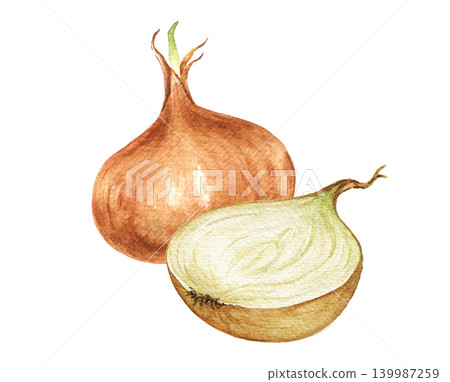 yellow onion and onion half watercolor composition for recipe cards, kitchen decoration, food packaging, menu templates and seasonal cooking projects. Ingredients for soup frying. 139987259
