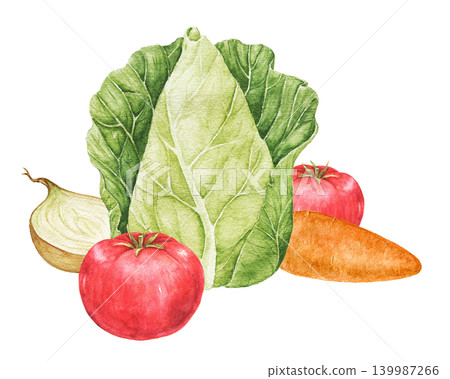 Tomatoes, tomato slices, onions, carrots and cabbage watercolor composition for kitchen decoration, recipe cards, food packaging and seasonal Thanksgiving projects. Tomatoes, tomato slices, onions, carrots and cabbage watercolor composition for kitchen decoration, recipe cards, food packaging and seasonal Thanksgiving projects. 139987266