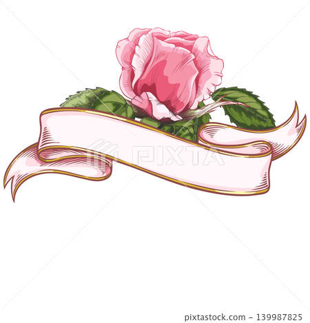 White ribbon banner with blooming rose sketch, vintage pink rose flower, vector hand drawn blossom nature headline frame White ribbon banner with blooming rose sketch, vintage pink rose flower, vector hand drawn blossom nature headline frame 139987825
