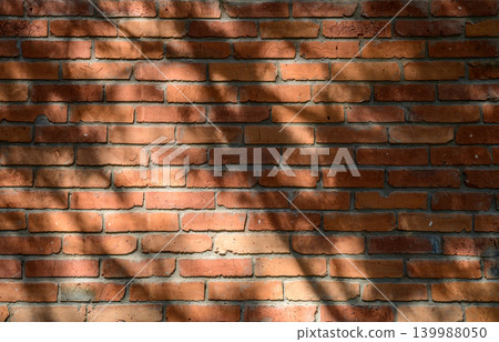 Red brick wall with soft leafy shadows 139988050