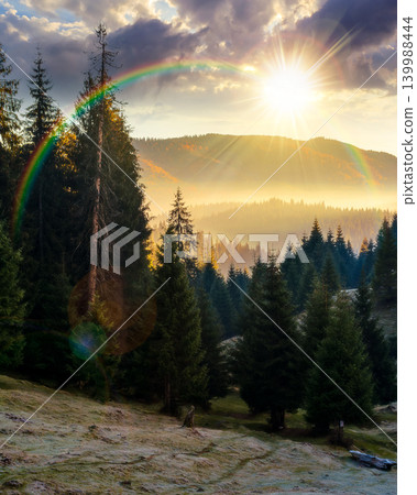 sunset over cold fog in the mountain valley. nature phenomenon over majestic mountain landscape with coniferous forest. spruce trees in misty nature background view from a hill under the rainbow sunset over cold fog in the mountain valley. nature phenomenon over majestic mountain landscape with coniferous forest. spruce trees in misty nature background view from a hill under the rainbow 139988444