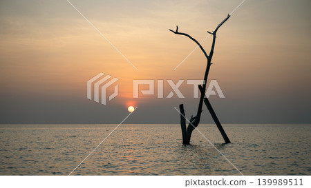 Silhouette of a dead tree in the ocean at sunset. Minimalist landscape with orange sky and sun over the sea in Maldives. Solitude and nature concept. Silhouette of a dead tree in the ocean at sunset. Minimalist landscape with orange sky and sun over the sea in Maldives. Solitude and nature concept. 139989511