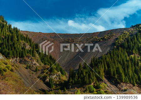 Picturesque mountain landscape with fir trees 139989536