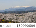 A thousand cherry trees in a single view, in collaboration with the snow-capped Zao mountain range. 139990609