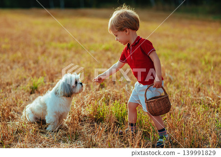 Two years child feeding dog on nature walking, sunset warm colors 139991829