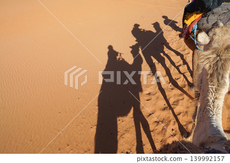 Shadows of camels walking across the Sahara Shadows of camels walking across the Sahara 139992157