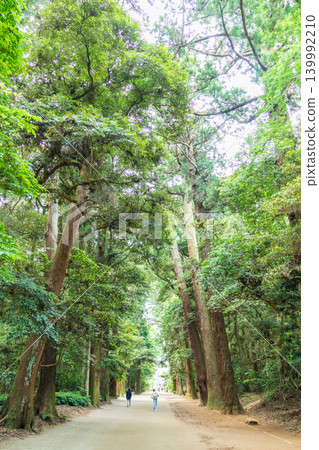 Scenery of the inner approach to Kashima Shrine in Ibaraki Prefecture Scenery of the inner approach to Kashima Shrine in Ibaraki Prefecture 139992210