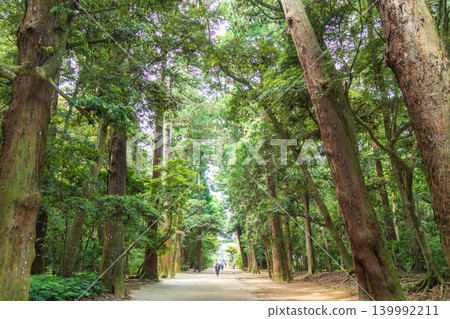 茨城縣鹿島神社內道景色 茨城縣鹿島神社內道景色 139992211