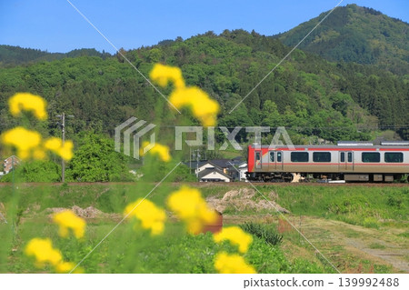 2026年5月7日，陽光明媚，北信濃鐵道SR1系列列車行駛在北信濃線上，路旁油菜花盛開。 139992488
