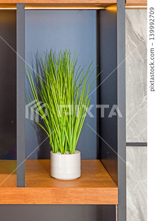 Green plant on shelf 139992709