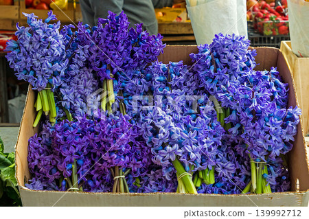 Purple hyacinth flower Purple hyacinth flower 139992712