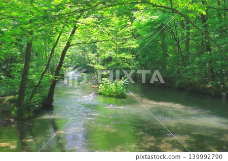 陽光灑在綠樹環繞的奧入瀨峽谷(十和田八幡平國立公園) 陽光灑在綠樹環繞的奧入瀨峽谷(十和田八幡平國立公園) 139992790