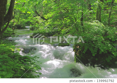 The Oirase Gorge bathed in sunlight amidst lush greenery (Towada-Hachimantai National Park) The Oirase Gorge bathed in sunlight amidst lush greenery (Towada-Hachimantai National Park) 139992792