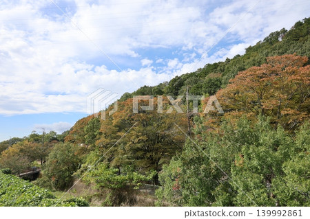 與秋葉和藍天的一座山 139992861