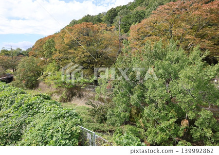與秋葉的山景 與秋葉的山景 139992862